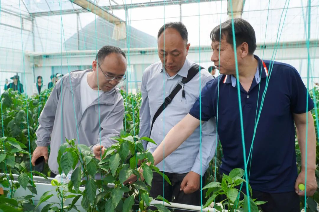 DSC00075.jpg DSC00075.jpg