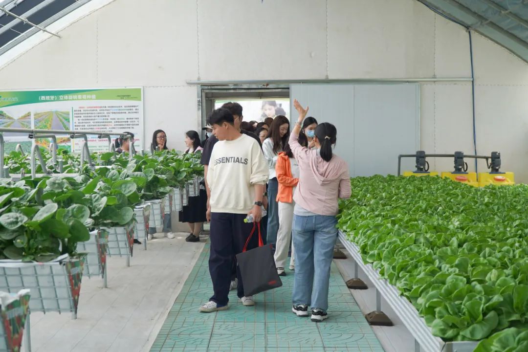 DSC00111.jpg DSC00111.jpg