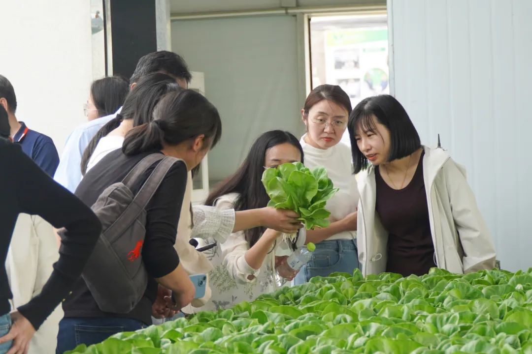 DSC00129.jpg DSC00129.jpg