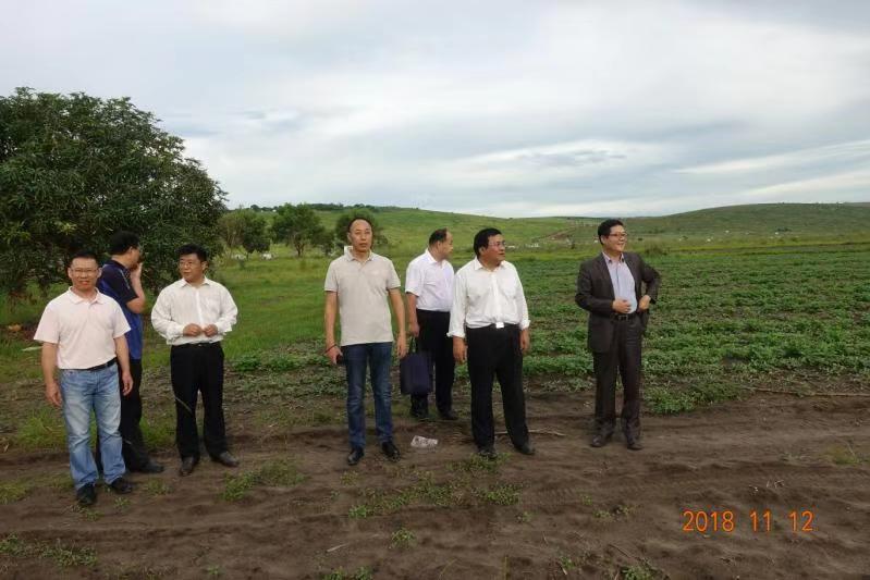 代表团与MG冰球突破官网两位援非农业专家一起参观试验基地